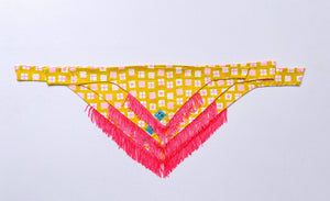 VELVET OUTPAW Birthday Presents Dog Bandana