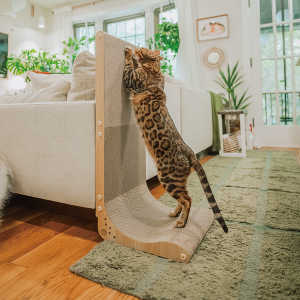NECOICHI Wall Scratcher