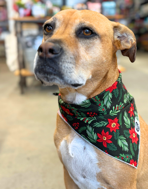 THE FISH & BONE Bandana Poinsettias
