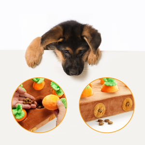 NOCCIOLA Carrot Path Enrichment Dog Toy