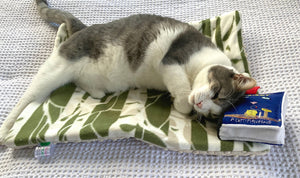SCREAMING PICKLES The Great Catsby Catnip Book Toy