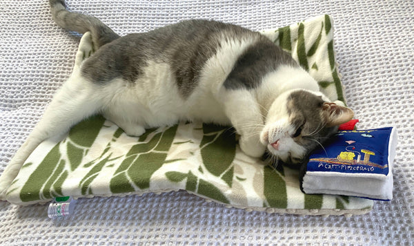 SCREAMING PICKLES The Great Catsby Catnip Book Toy