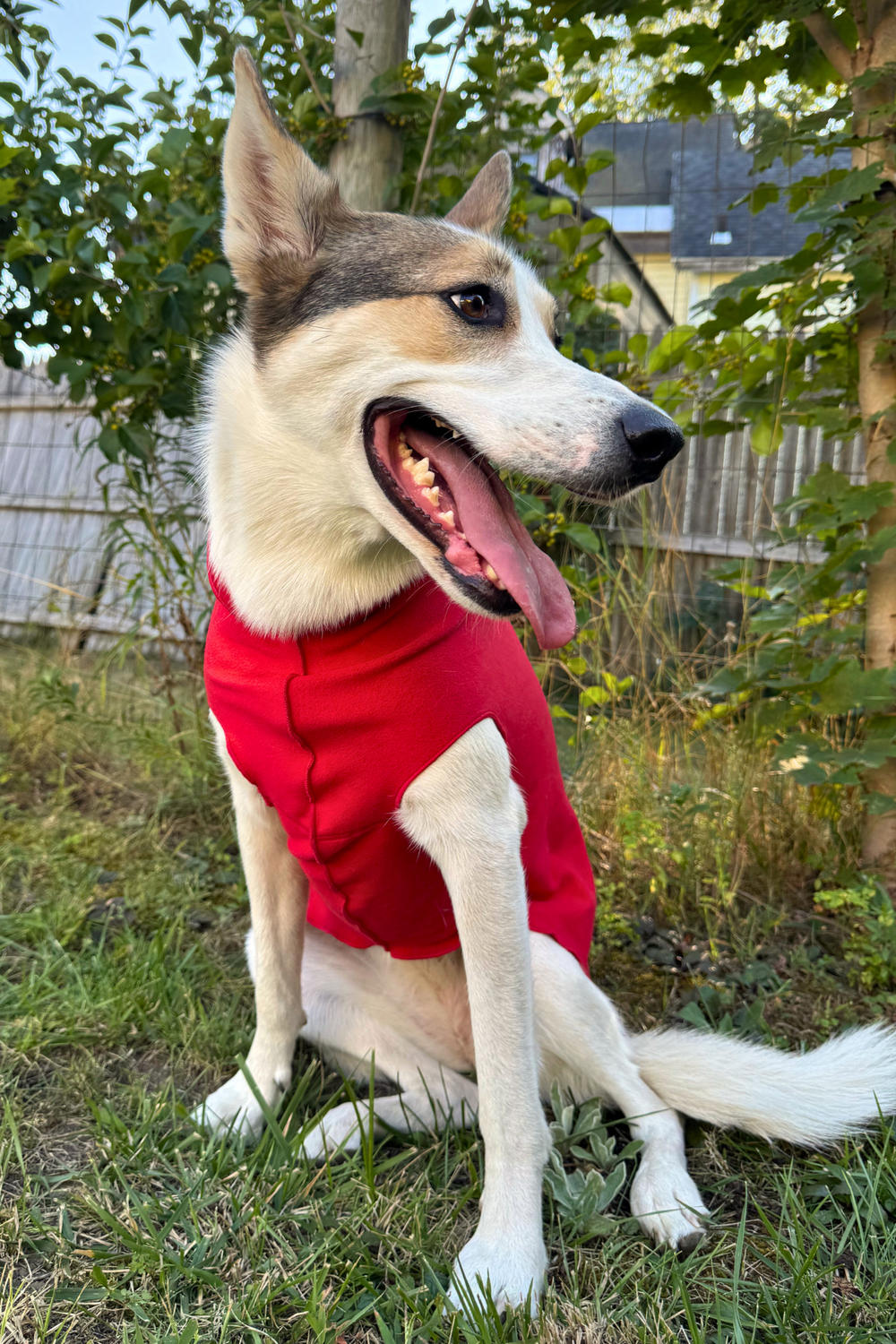 GOLD PAW Stretch Fleece Red