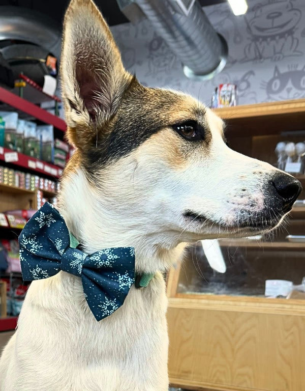 THE FISH & BONE  Bow Tie Winter Snowflakes