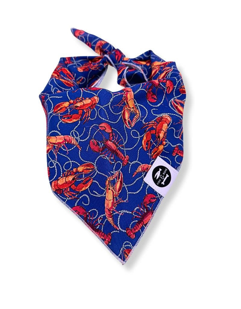 FISH & BONE Bandana Lobster & Rope