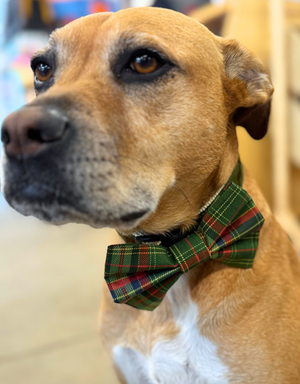 THE FISH & BONE  Bow Tie Lumberjack Plaid