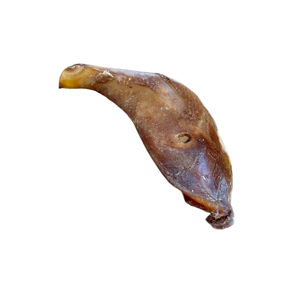 FISH & BONE Buffalo Scapula