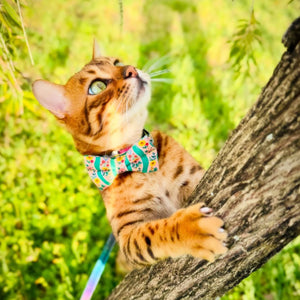 MADE BY CLEO Cat Bow Tie Arbor Rose