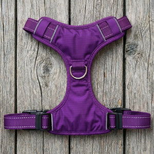 BAYDOG  Chesapeake Harness Purple