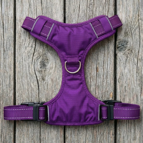 BAYDOG  Chesapeake Harness Purple