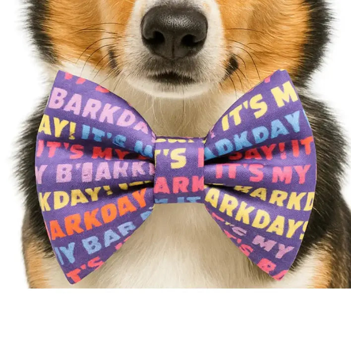 DAPPER DEXTER Bow Tie It's My Barkday