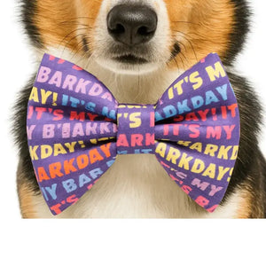 DAPPER DEXTER Bow Tie It's My Barkday