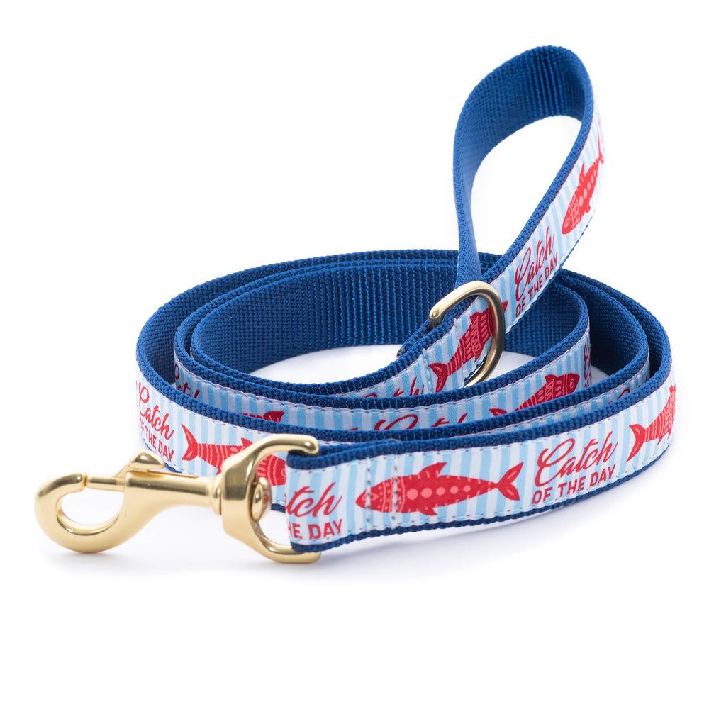 UP COUNTRY Lead Catch Of The Day