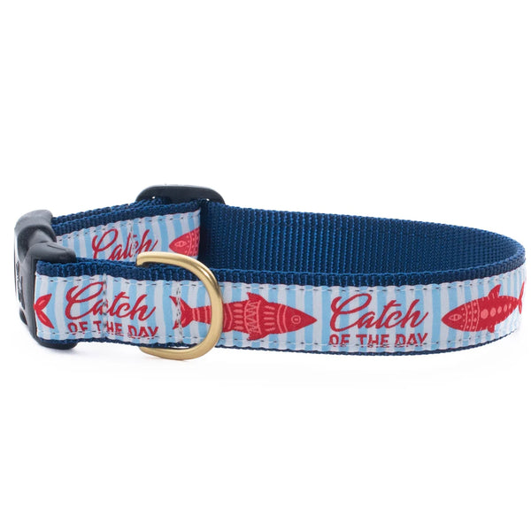 UP COUNTRY Dog Collar Catch Of The Day