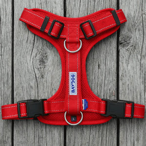 BAYDOG  Chesapeake Harness Red