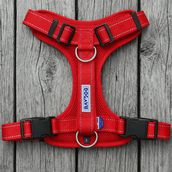 BAYDOG  Chesapeake Harness Red