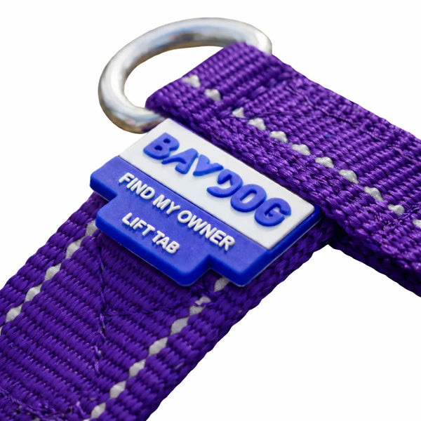 BAYDOG  Chesapeake Harness Purple