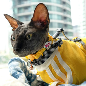 JIBY Biscuit Maker Cat Charm