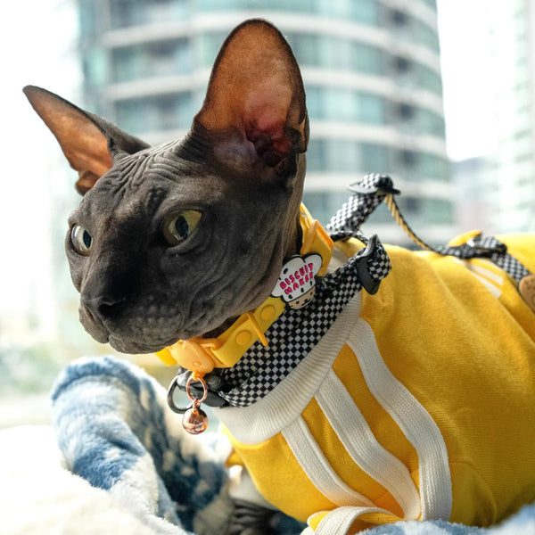 JIBY Biscuit Maker Cat Charm