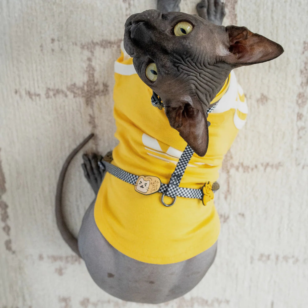 JIBY Loaf Cat Charm