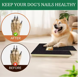 DE 'VORA Buddy Trainer Dog Nail File & Scratch Board