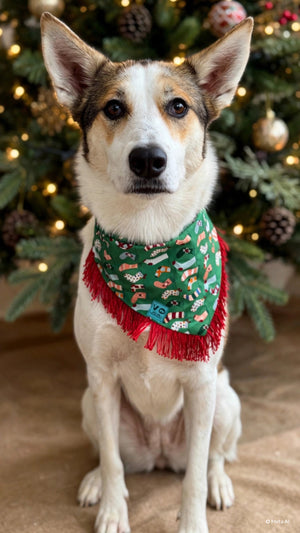 VELVET OUTPAW Holiday Stockings Dog Bandana
