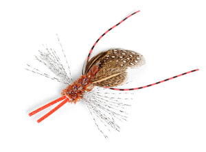 ROMPICATZ CrittrBugz Crickett