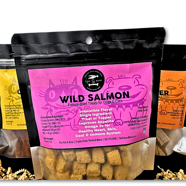 FISH & BONE Dog Treat Bundle