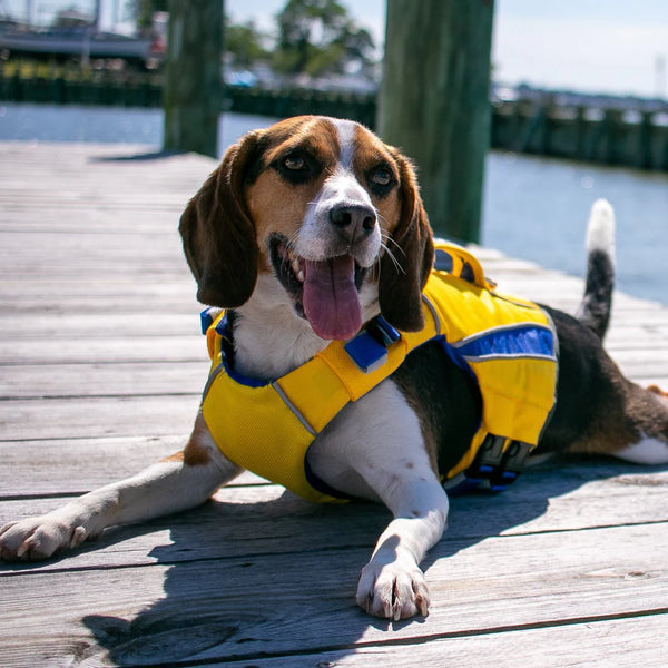 BAYDOG Monterey Bay Dog Lifejacket Nautical Yellow