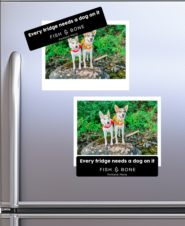 FISH & BONE Every Fridge Needs a Dog On It Magnet