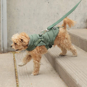 CANADA POOCH Harness Puffer Green
