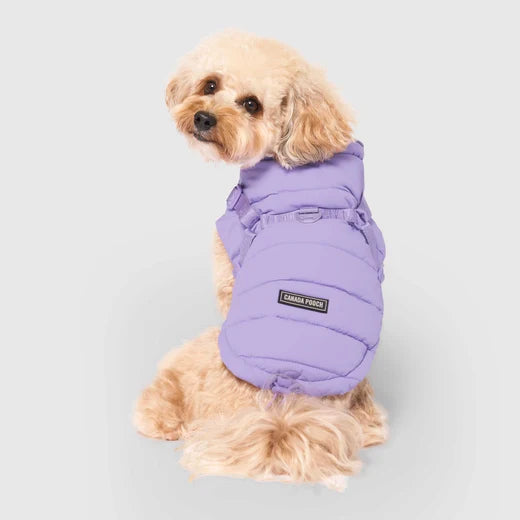CANADA POOCH Harness Puffer Lavender