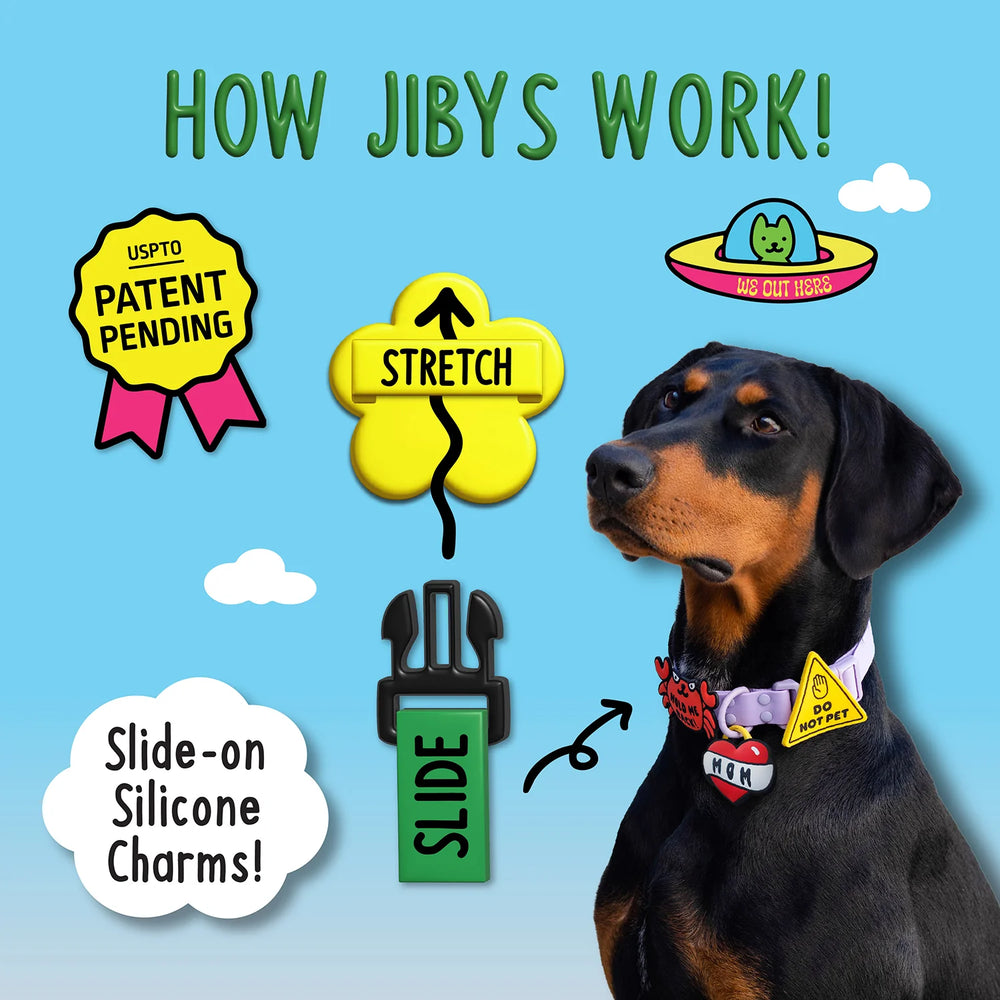 JIBY Rainbow Dog Charm
