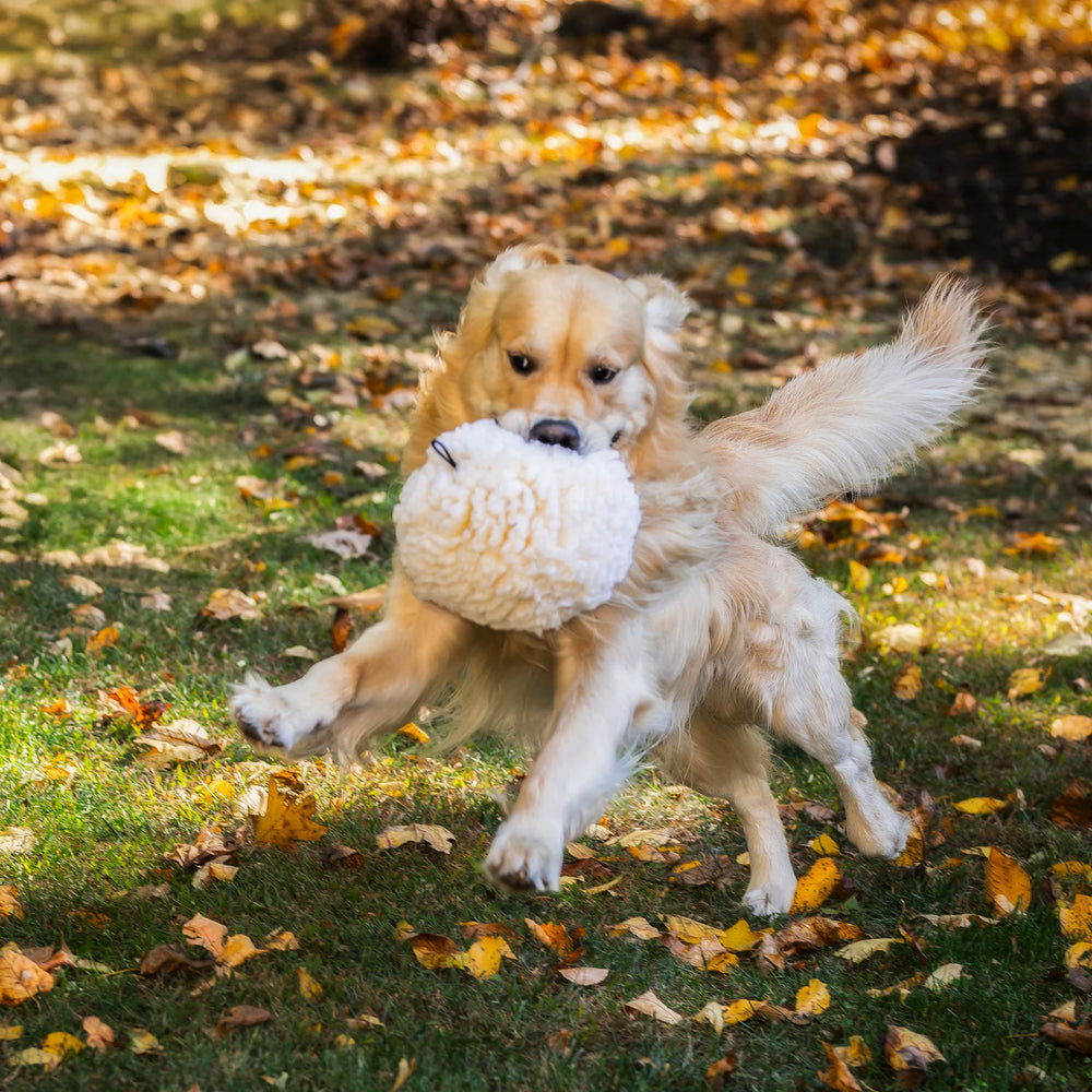 HUGGLEHOUNDS Dog Fleece Ball
