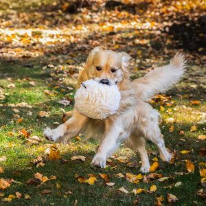 HUGGLEHOUNDS Dog Fleece Ball