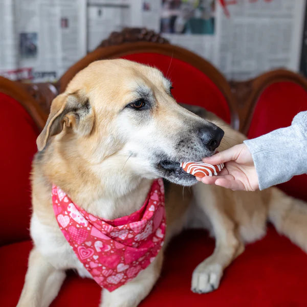 BOSCO & ROXY'S Chocolate Covered Strawberry Cookie