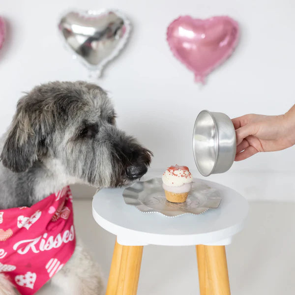 BOSCO & ROXY'S Valentine's Pup-Cake Cookie