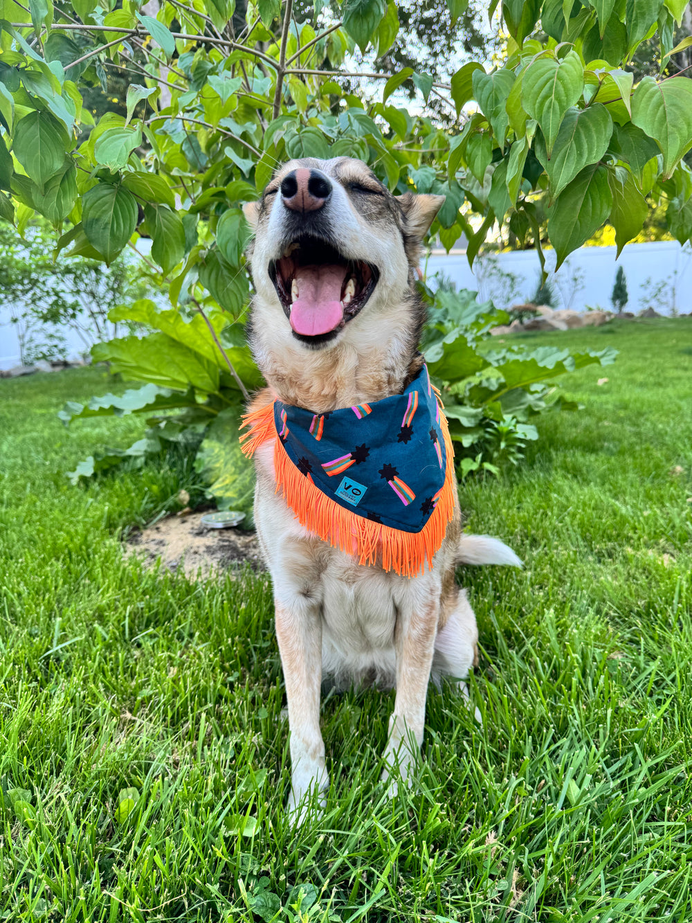 VELVET OUTPAW Major Star Pride Bandana Navy
