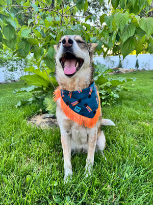 VELVET OUTPAW Major Star Pride Bandana Navy