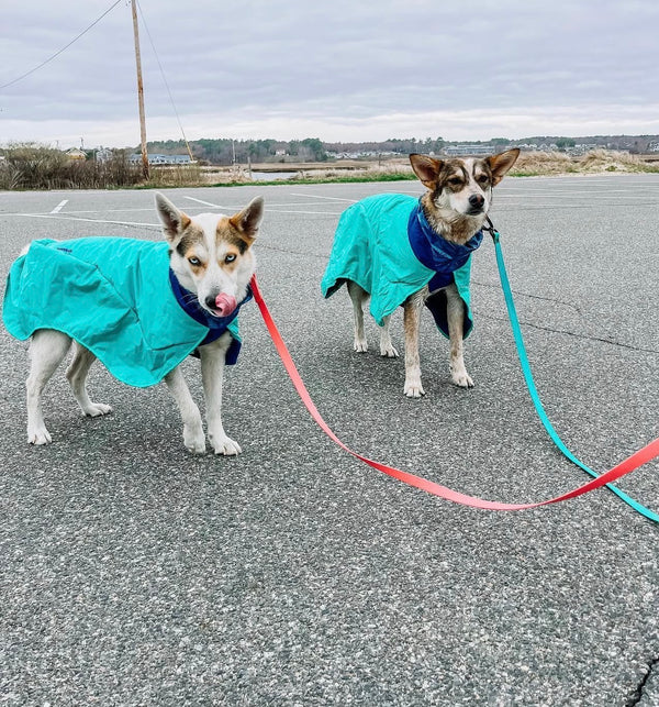 RUFFWEAR Dirtbag Dog Towel Aurora Teal