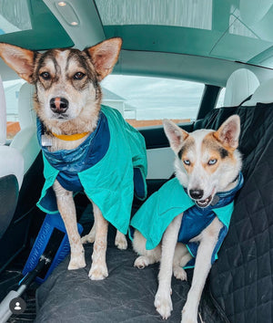 RUFFWEAR Dirtbag Dog Towel Aurora Teal