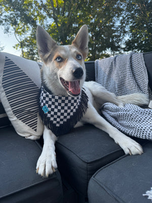 VELVET OUTPAW Checkered Fringe Bandana