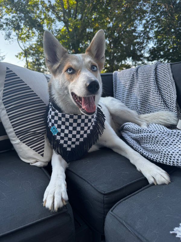 VELVET OUTPAW Checkered Fringe Bandana