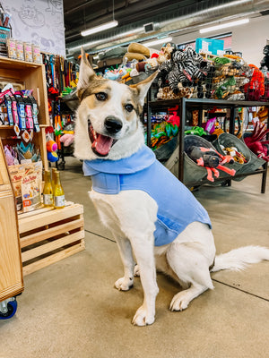 CANADA POOCH Weighted Calming Vest