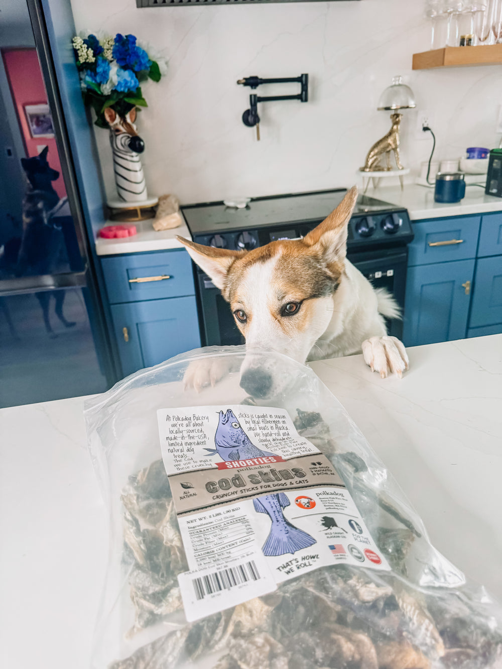 POLKA DOG Cod Skins