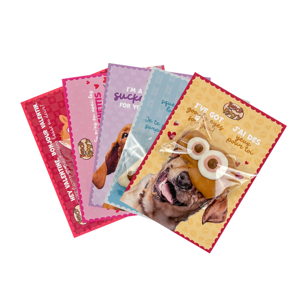 BOSCO & ROXY'S Valentine Cookie