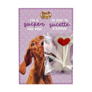 BOSCO & ROXY'S Valentine Cookie