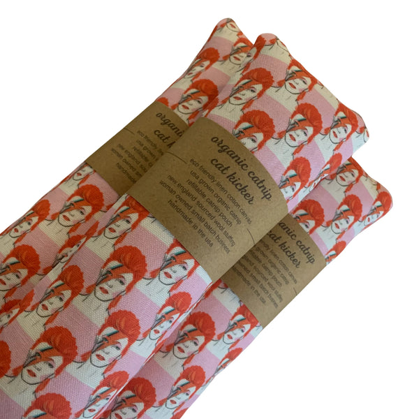 CIAO GATTO Let’s Dance David Refillable Organic Catnip Kicker Cat Toy