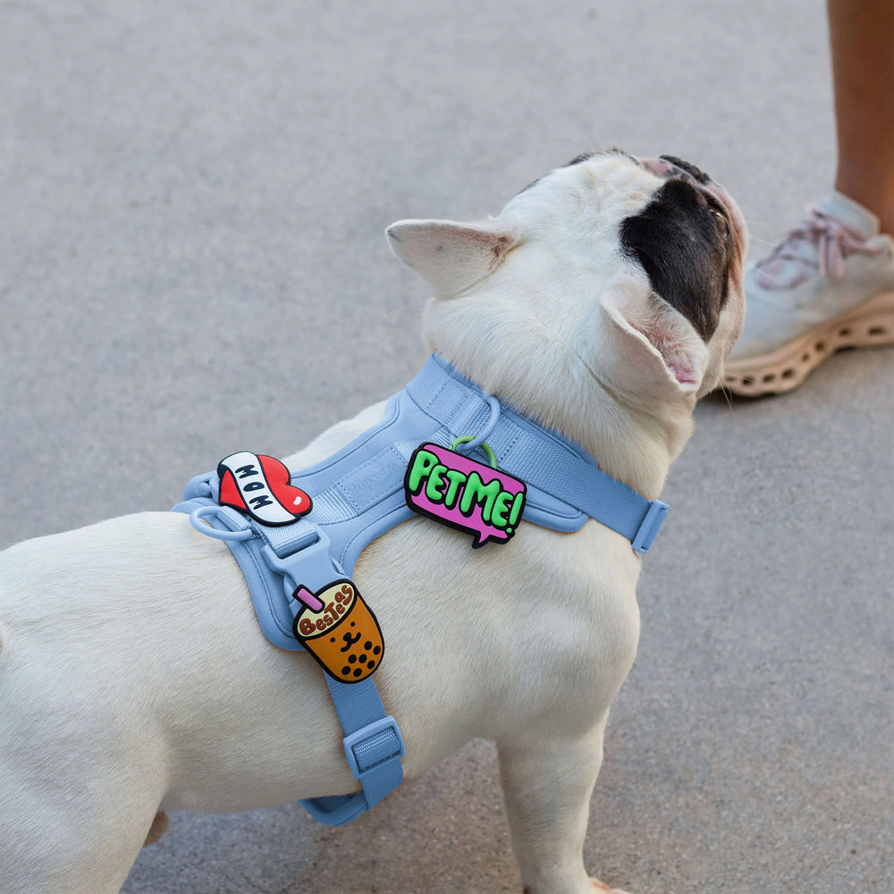 JIBY Pet Me Dog Charm