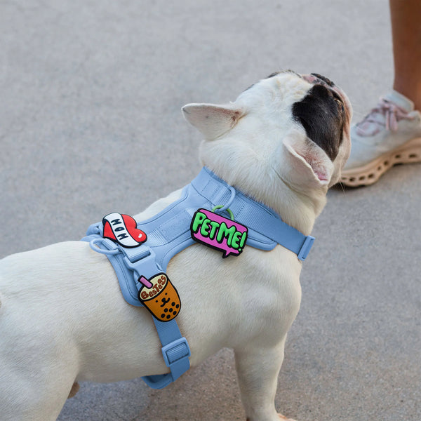 JIBY Pet Me Dog Charm